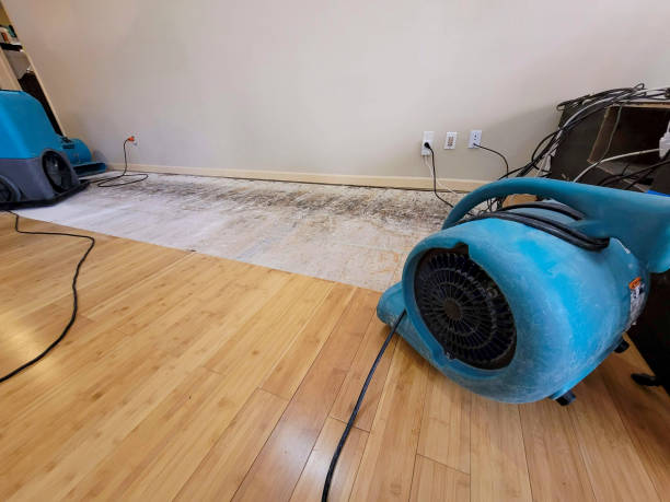 Professional Basement Flood Cleanup technician working in Pall Mall, TN